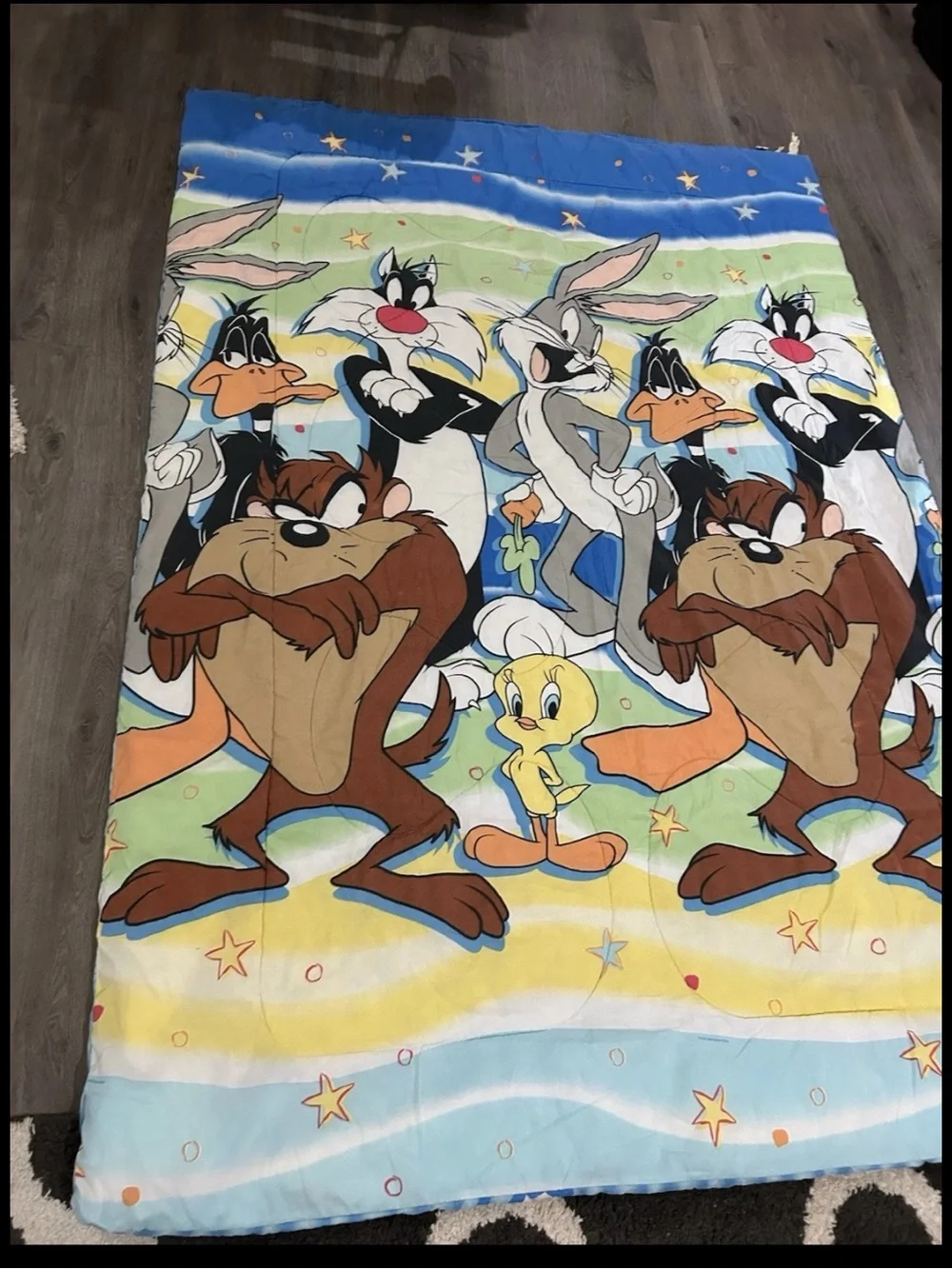 Vintage Warner Bros Looney Tunes Bedspread Twin Bugs Taz Sylvester Tweety Daffy